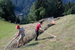 Gruppeneinsätze Südtiroler Bauernbund 2024